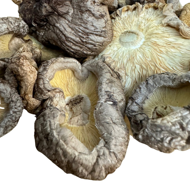 Dried Mushrooms & Extracts